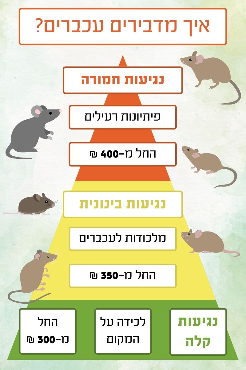 איך מדבירים עכברים