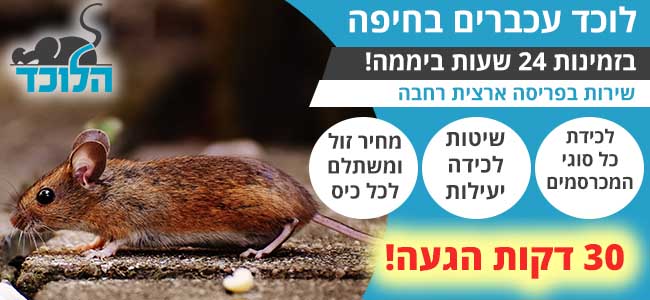 לוכד עכברים בחיפה