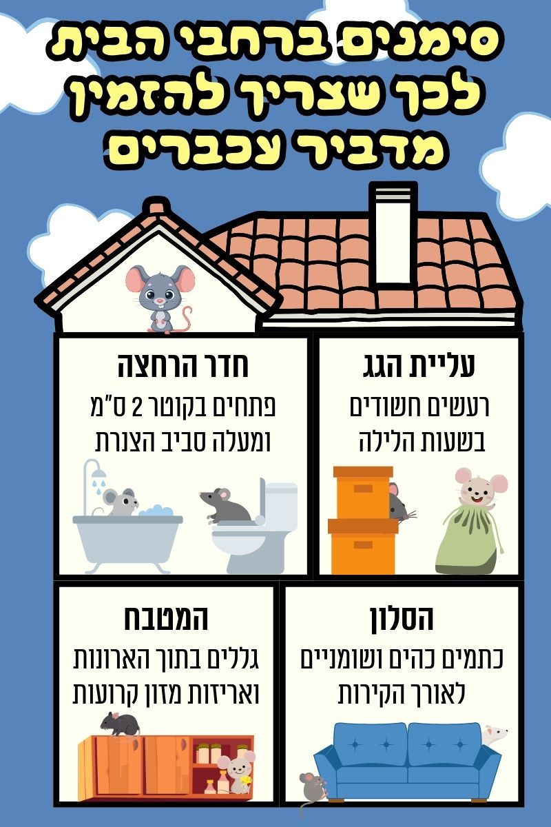 מתי להזמין מדביר עכברים